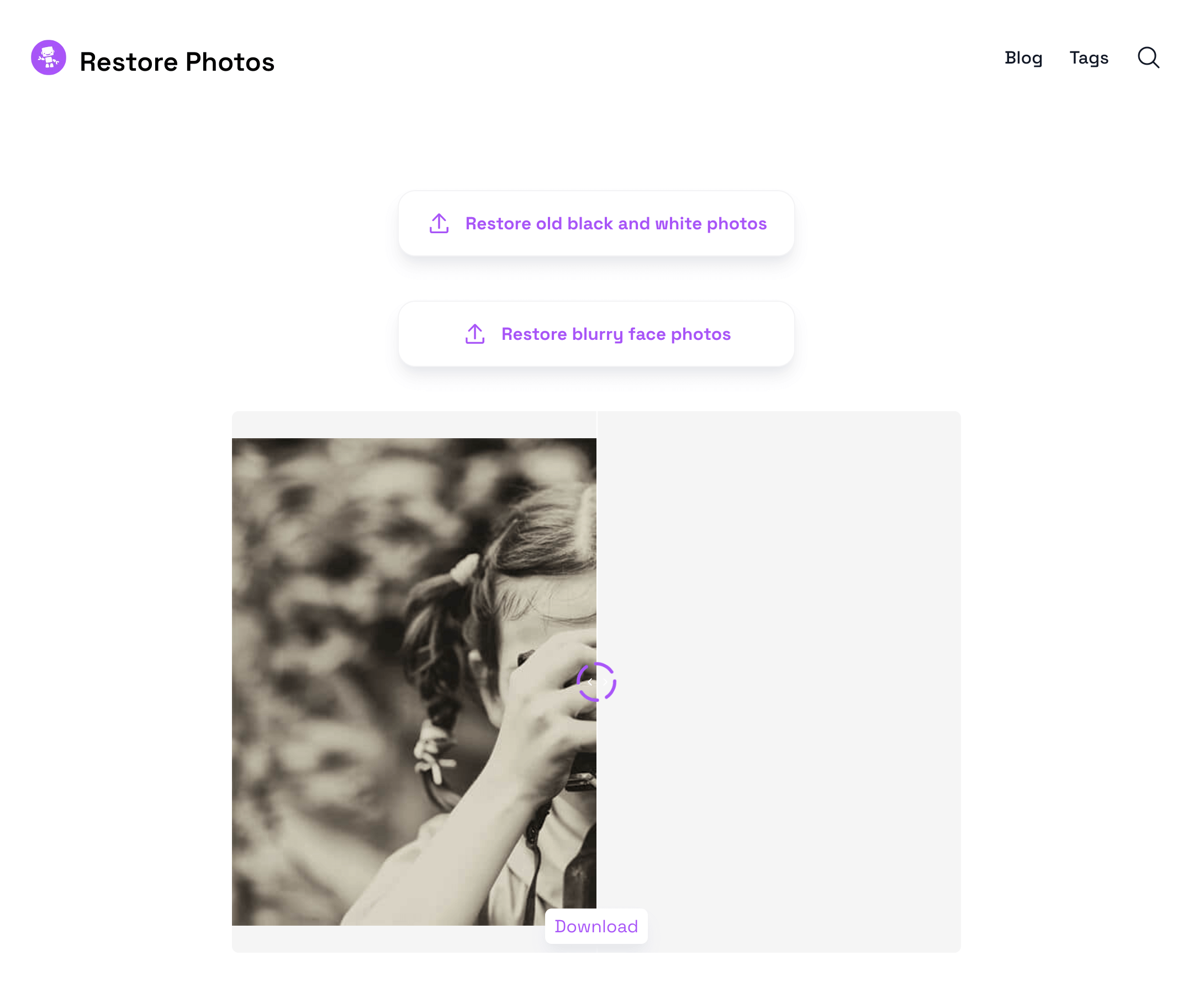 Black and White Old Photo Restoration: Step Two